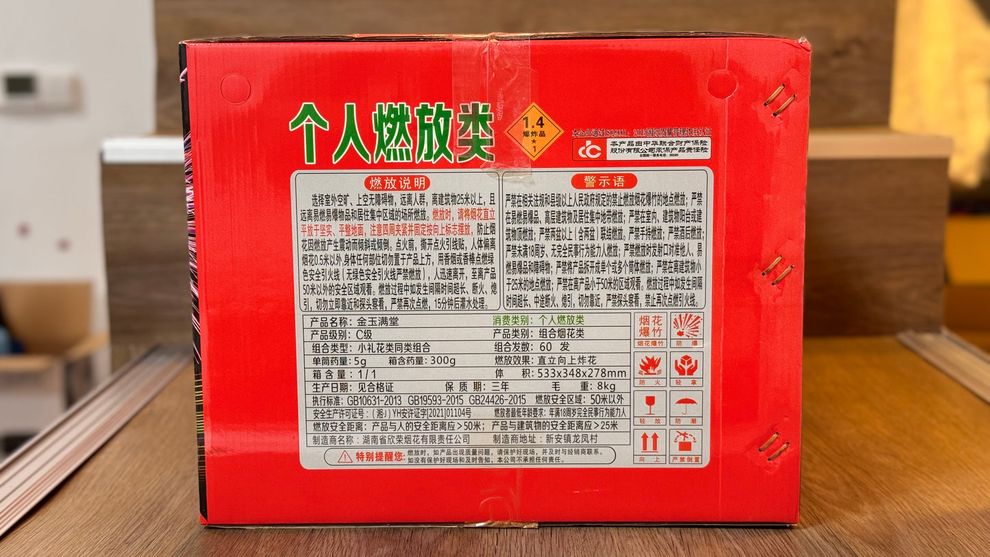 60发普通夜景大烟花
